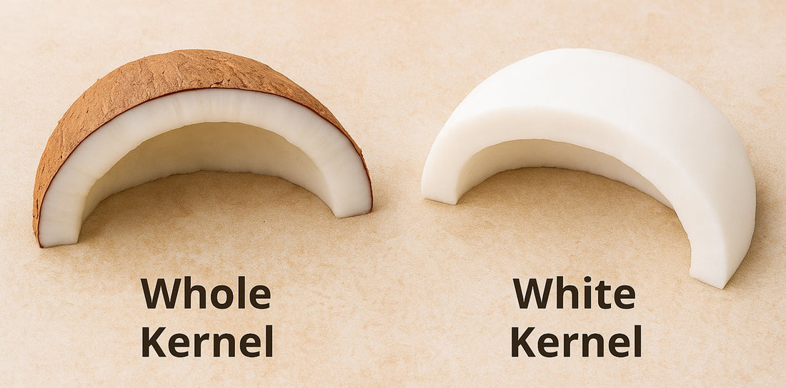 Side-by-side view of whole kernel and white kernel coconut flesh for virgin coconut oil production