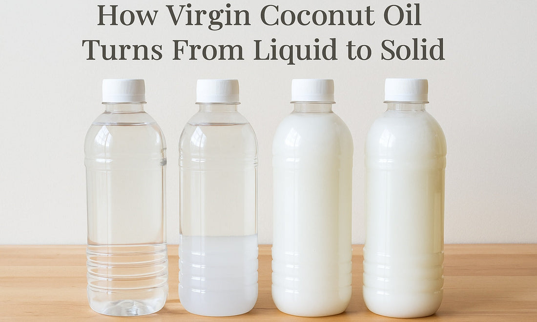 Stages of virgin coconut oil turning from clear liquid to white solid in plastic bottles